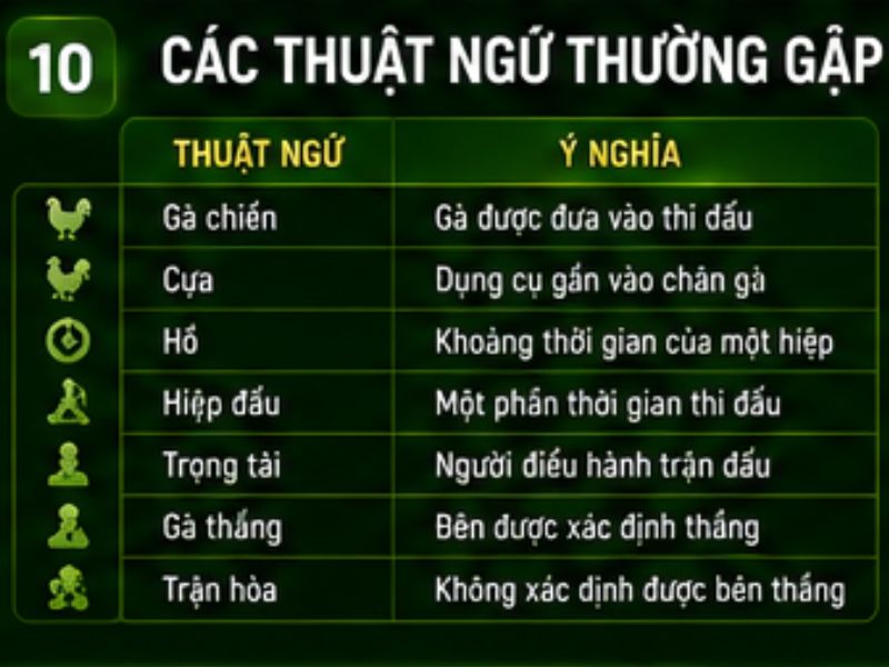 Các Thuật Ngữ Thường Gặp Trong Đá Gà