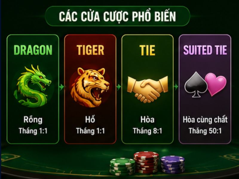 Các cửa cược phổ biến