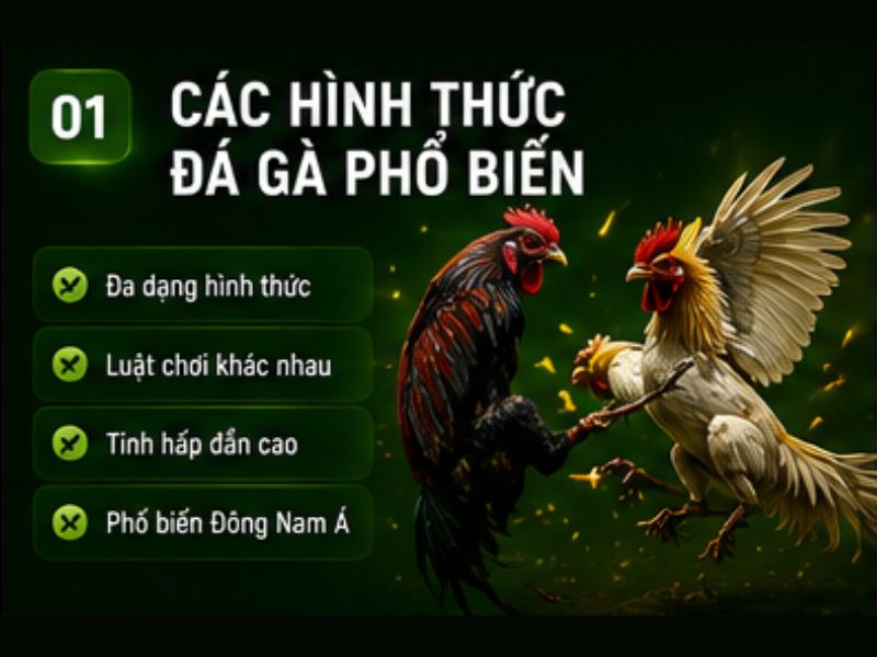 Đá Gà 69VN Là Gì?