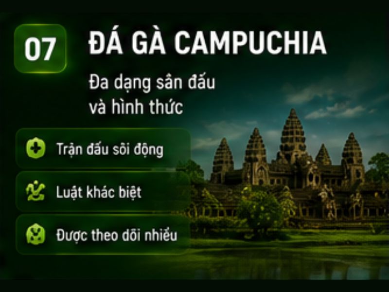 Đá gà Campuchia