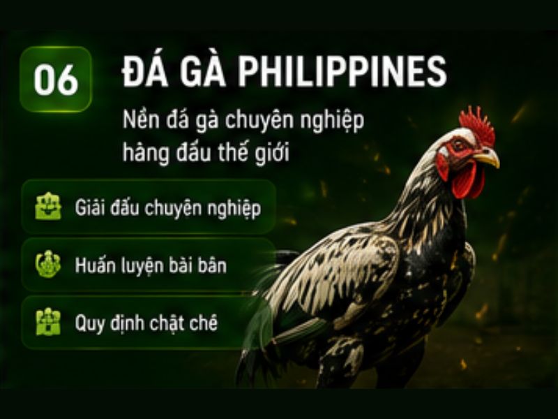 Đá gà Philippines