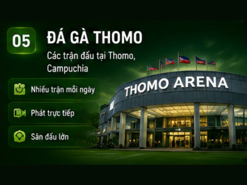 Đá gà Thomo