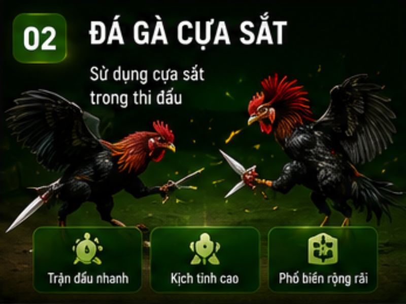 Đá gà cựa sắt