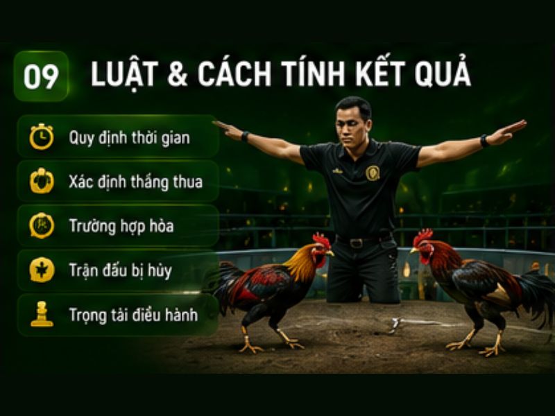 Luật Và Cách Tính Kết Quả Đá Gà