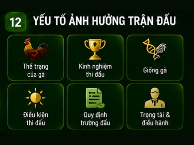 Những Yếu Tố Ảnh Hưởng Đến Một Trận Đá Gà